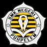 Logo SMKN 1 Puhpelem