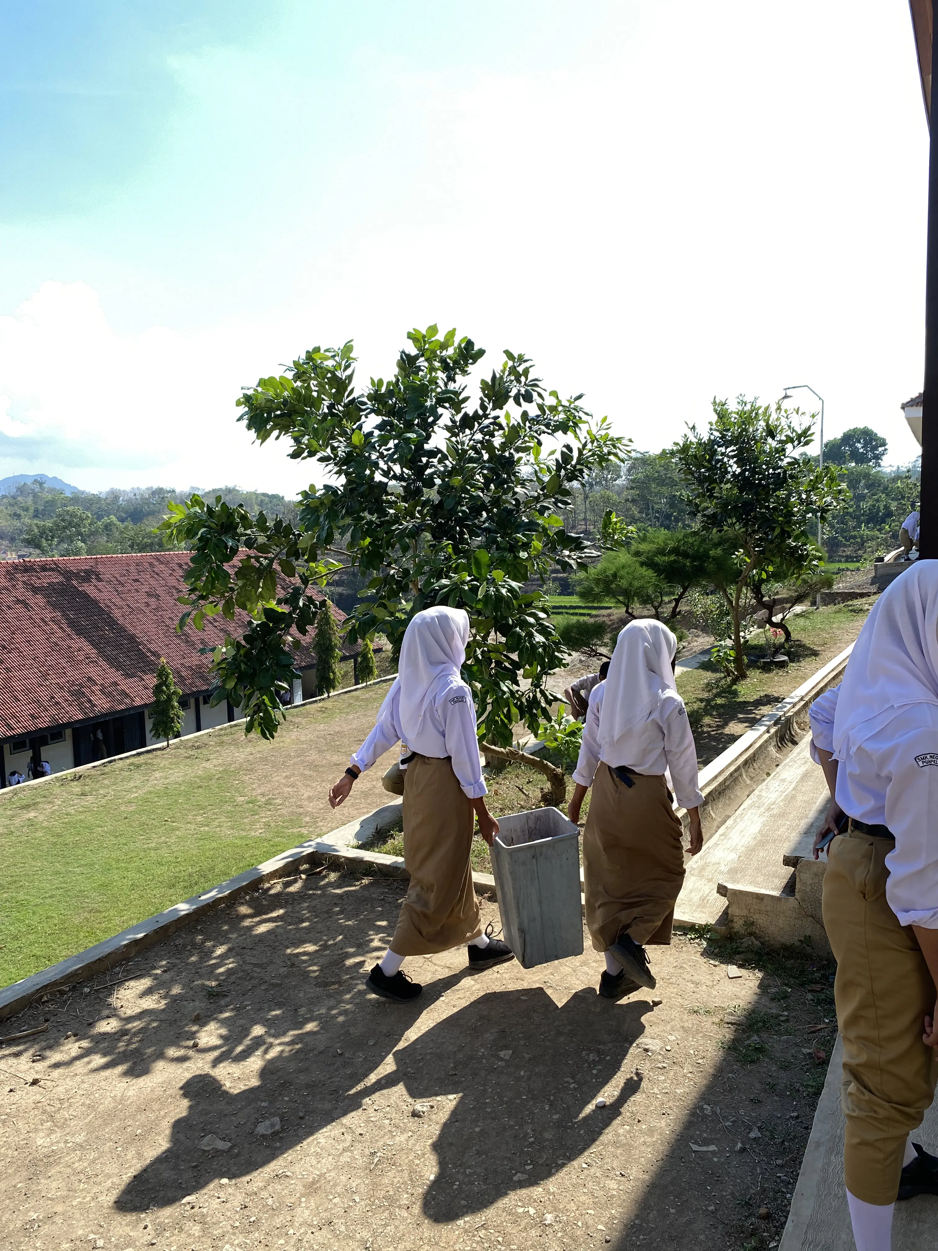 Penanaman Bibit Pohon